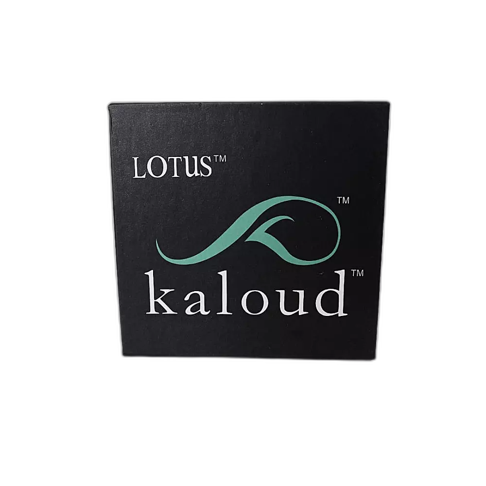 Контроллер жара Lotus Реплика