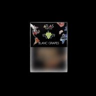Atlas Blanc Grapes