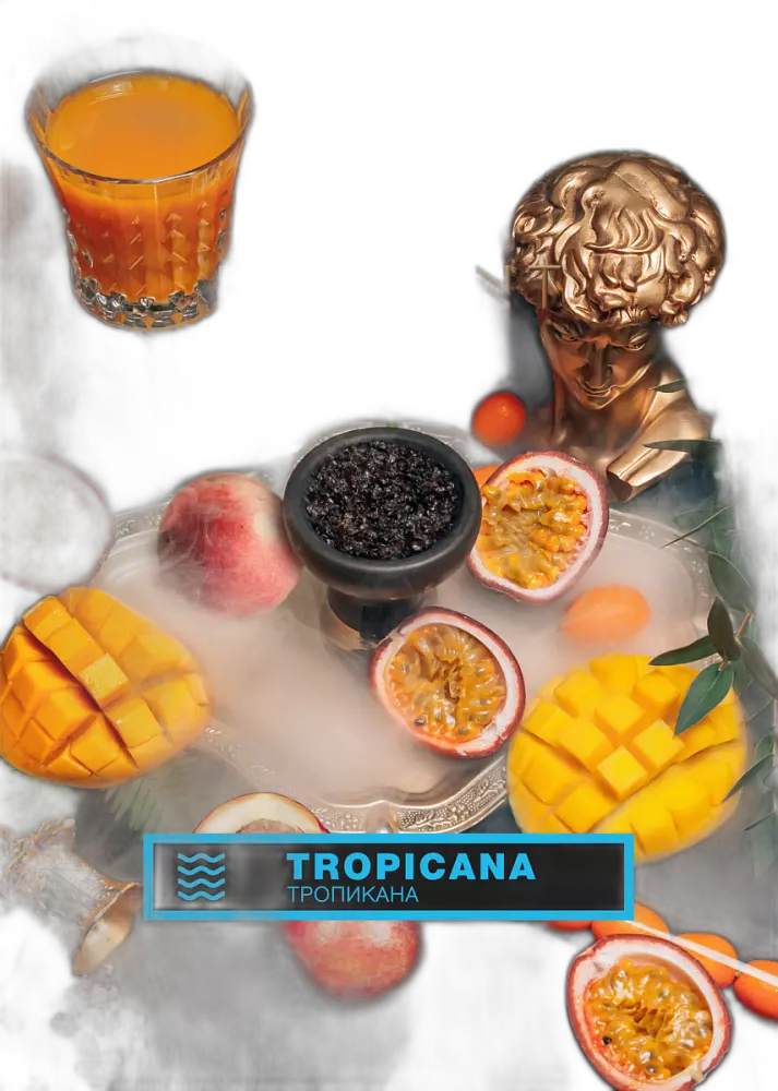 Табак Element Вода Tropicana