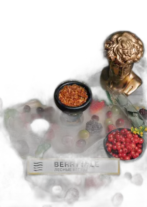 Табак Element Воздух Berrytale