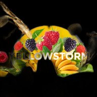 Element V Пятый Элемент Yellowstorm